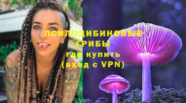 ГАЛЛЮЦИНОГЕННЫЕ ГРИБЫ Алексеевка
