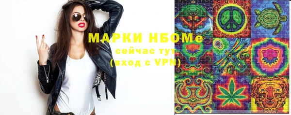 spice Алзамай