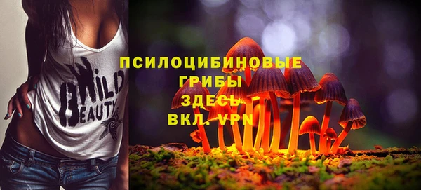 ГАЛЛЮЦИНОГЕННЫЕ ГРИБЫ Алексеевка